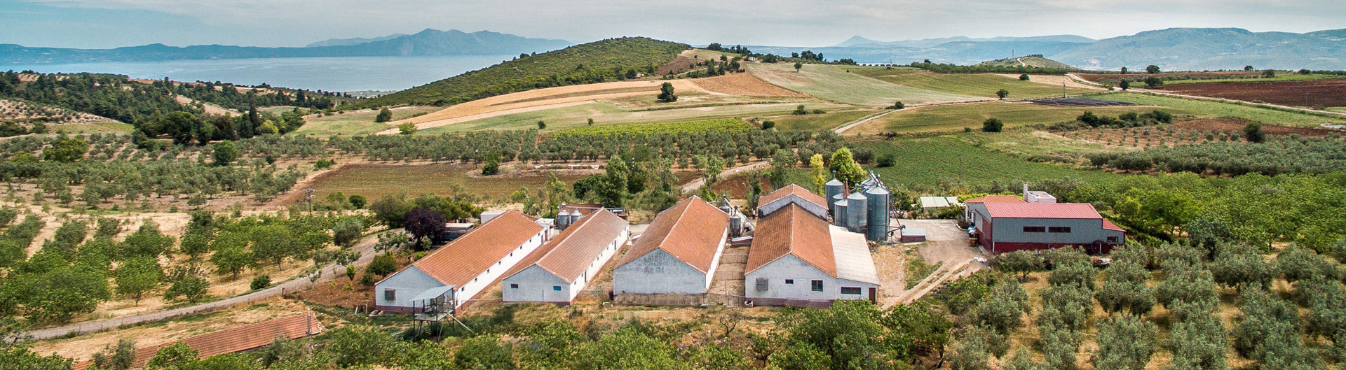 Η Φάρμα